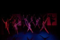 /album/sinfonia-dos-corpos-vers%c3%a3o-2-%282011%29/aline-bianca-sinfonia-dos-corpos-103-jpg/